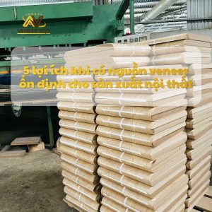 5 lợi ích khi có nguồn veneer ổn định cho sản xuất nội thất 5 lợi ích khi có nguồn veneer ổn định cho sản xuất nội thất