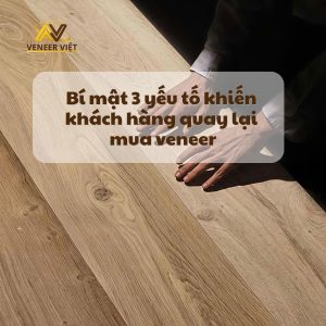 Bí mật 3 yếu tố khiến khách hàng quay lại mua veneer