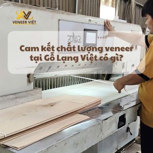 Cam kết chất lượng veneer tại Gỗ Lạng Việt có gì?