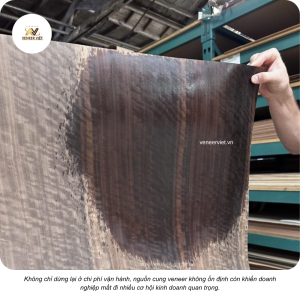 Chi Phí Ẩn Khi Chọn Nguồn Cung Veneer Không Ổn Định Ít Ai Biết chi phí tiến Độ khi nguồn cung veneer không Ổn Định