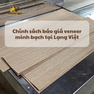 Chính sách báo giá veneer minh bạch tại Lạng Việt