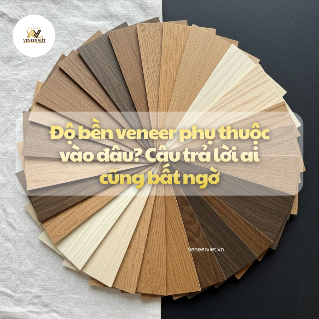 Độ bền veneer phụ thuộc vào Đâu câu trả lời ai cũng bất ngờ