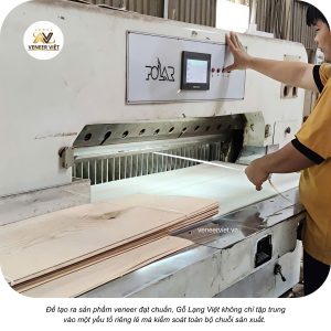 gỗ lạng việt không chỉ tập trung vào một yếu tố riêng lẻ mà kiểm soát toàn bộ chuỗi sản xuất.