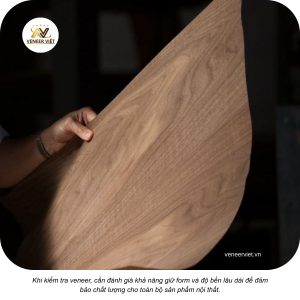khả năng bám dính và độ bền sau khi ép veneer