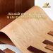 sản xuất veneer đạt chuẩn là như thế nào giải đáp từ lạng việt
