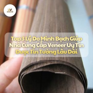 Top 3 Lý Do Giúp Nhà Cung Cấp Veneer Được Tin Tưởng Lâu Dài