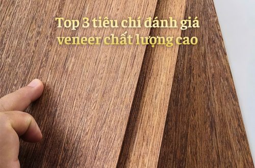 top 3 tiêu chí đánh giá veneer chất lượng cao từ lạng việt