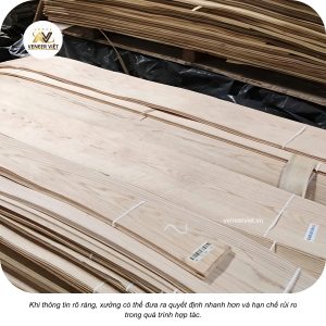 vì sao báo giá veneer minh bạch lại quan trọng