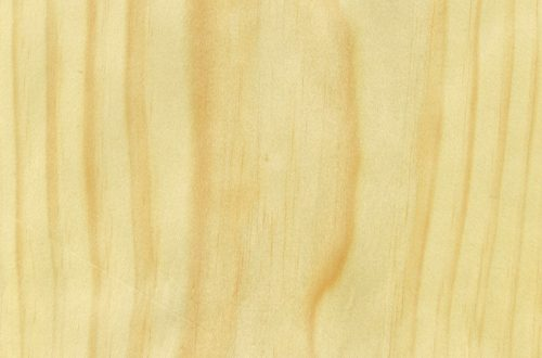 PINE RADIATA image 2026 03 31 191928655